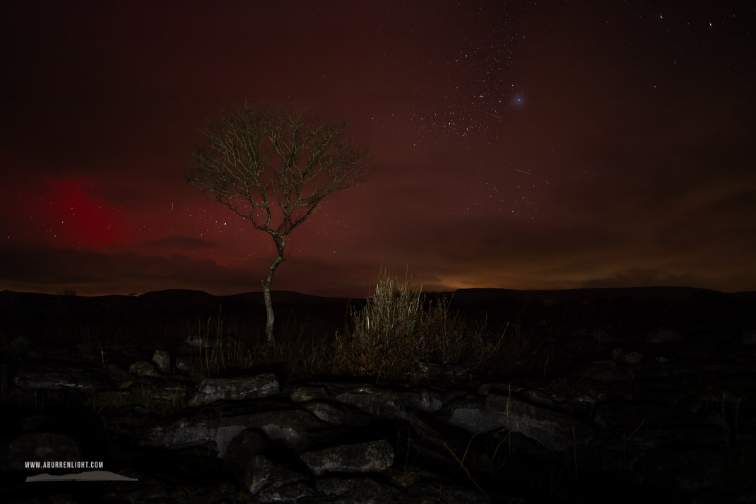 A Burren Lone Tree Clare Ireland - SAR,arc,astro,aurora,january,portfolio,lone tree,long exposure,lowland,night,winter