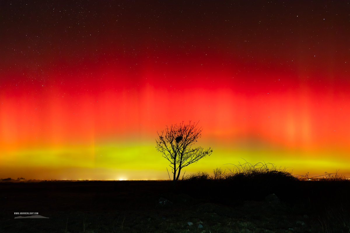 A Burren Lone Tree Clare Ireland - astro,aurora,january,lone tree,lowland,night,winter
