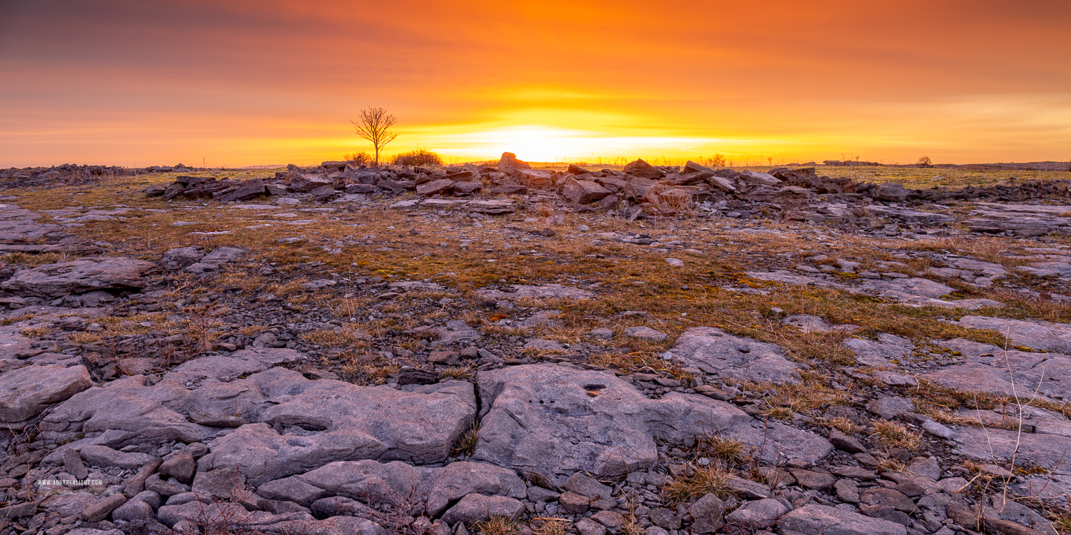 A Burren Lone Tree Clare Ireland - lone tree,march,orange,panorama,twilight,winter,lowlands,orange,golden