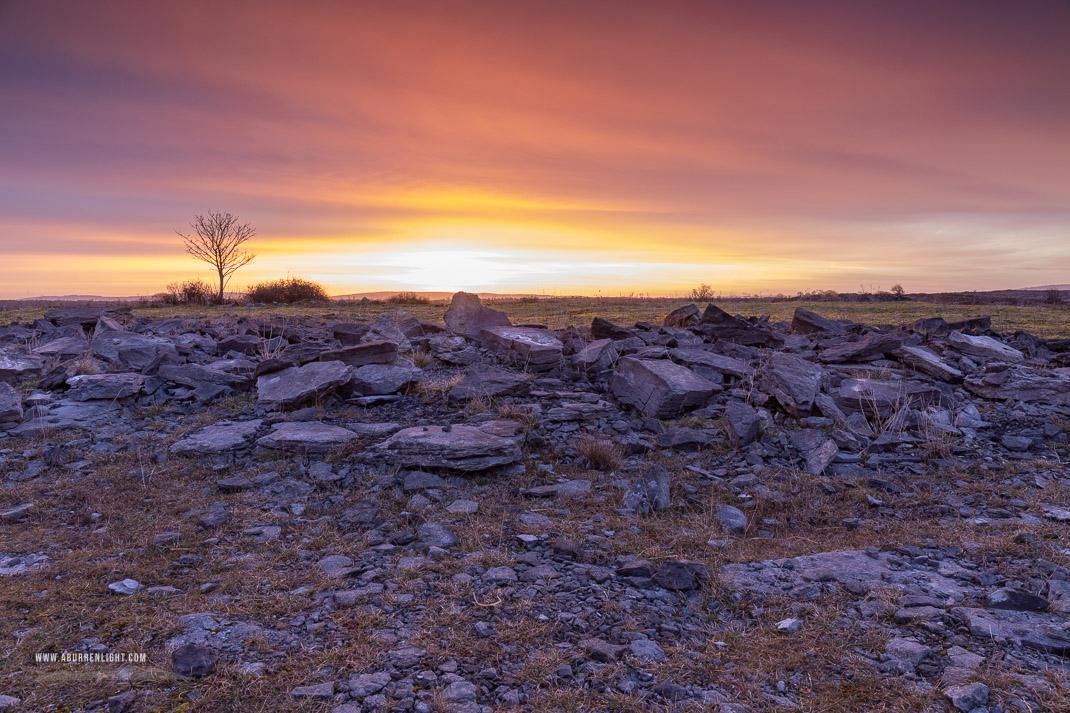 A Burren Lone Tree Clare Ireland - lone tree,march,orange,pink,twilight,winter,orange,lowland