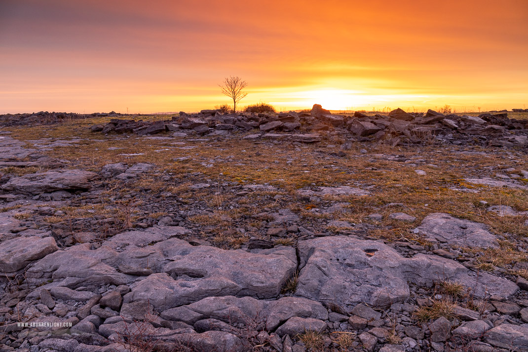 A Burren Lone Tree Clare Ireland - lone tree,march,orange,twilight,winter,portfolio,lowland