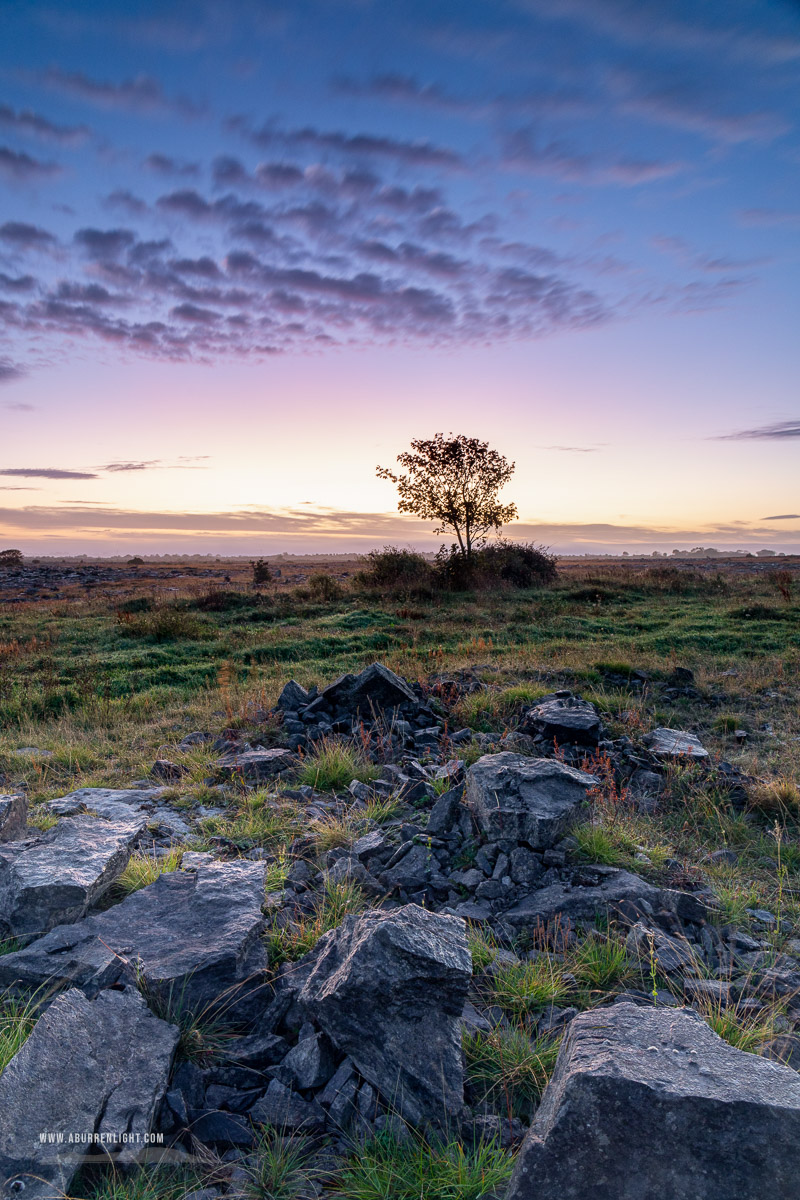 A Burren Lone Tree Clare Ireland - autumn,lone tree,long exposure,october,twilight,lowland