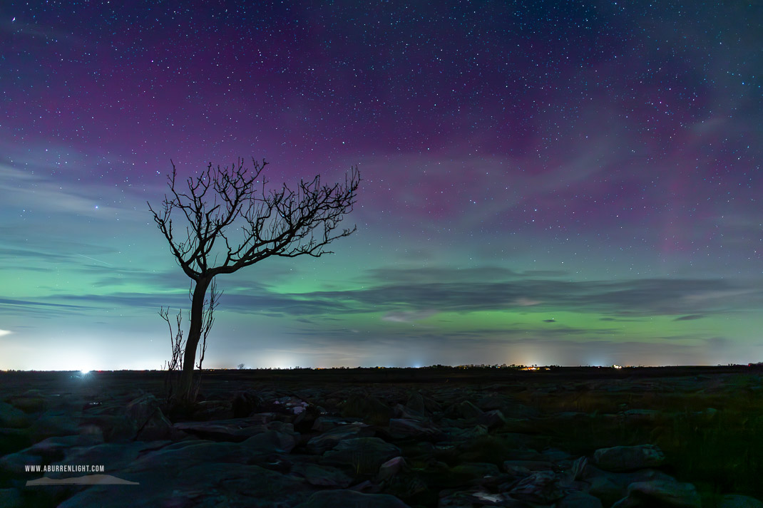 A Burren Lone Tree Clare Ireland - aurora,autumn,lone tree,night,november,lowland,green,,astro,long exposure