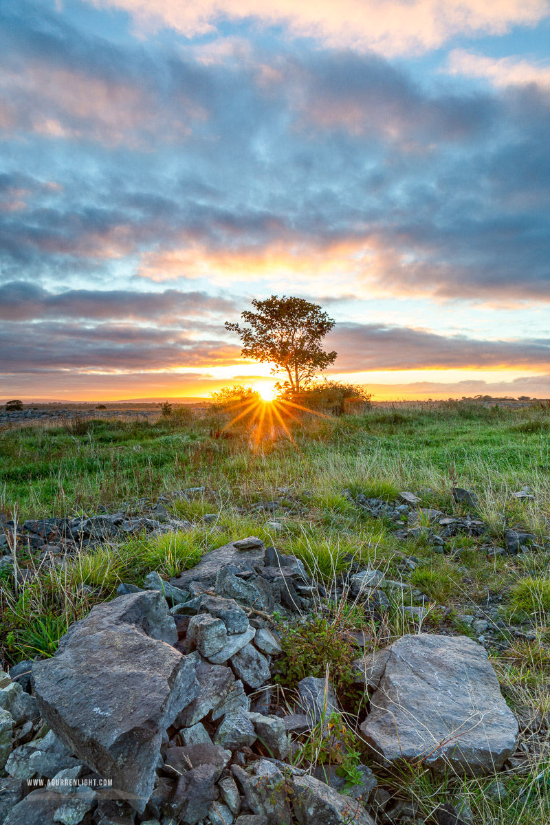 A Burren Lone Tree Clare Ireland - autumn,lone tree,october,sunrise,sunstar,lowland