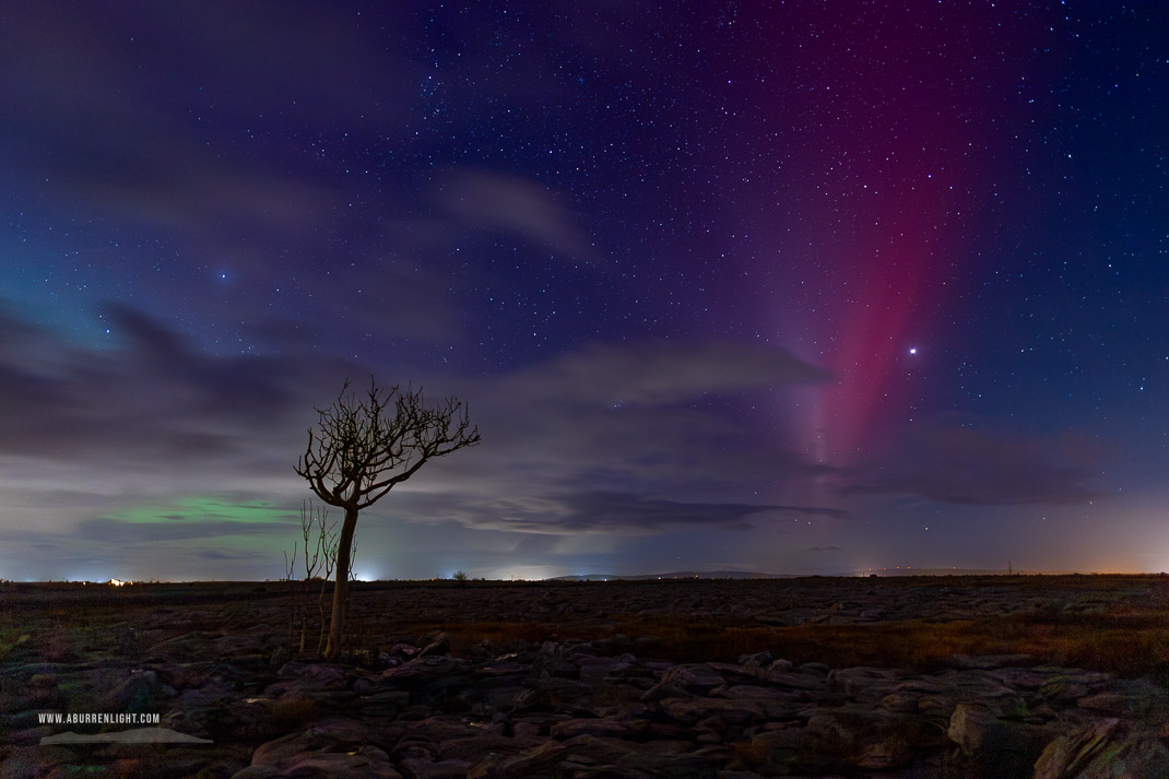 A Burren Lone Tree Clare Ireland - SAR,STEVE,astro,aurora,autumn,lone tree,long exposure,lowland,november,portfolio,night