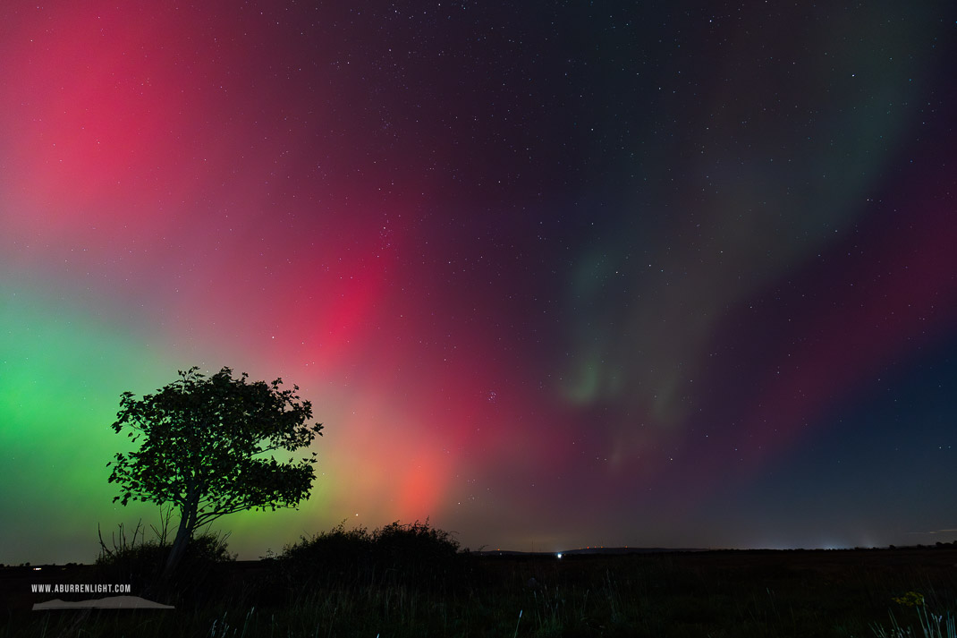 A Burren Lone Tree Clare Ireland - astro,aurora,autumn,lone tree,lowland,night,october,pilars