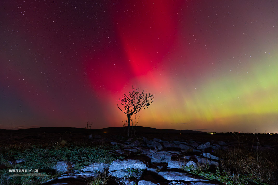 A Burren Lone Tree Clare Ireland - astro,aurora,autumn,lone tree,lowland,night,october,pilars,portfolio