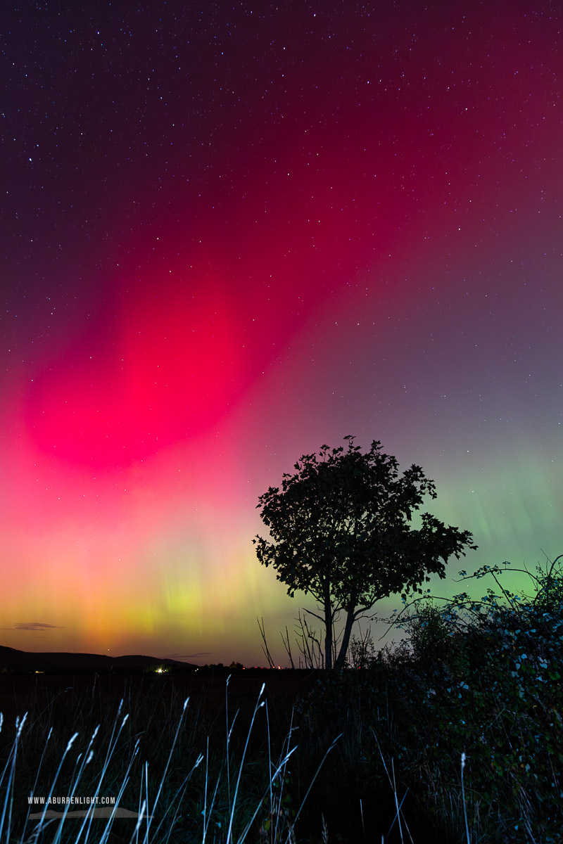 A Burren Lone Tree Clare Ireland - astro,aurora,autumn,lone tree,lowland,night,october,pilars