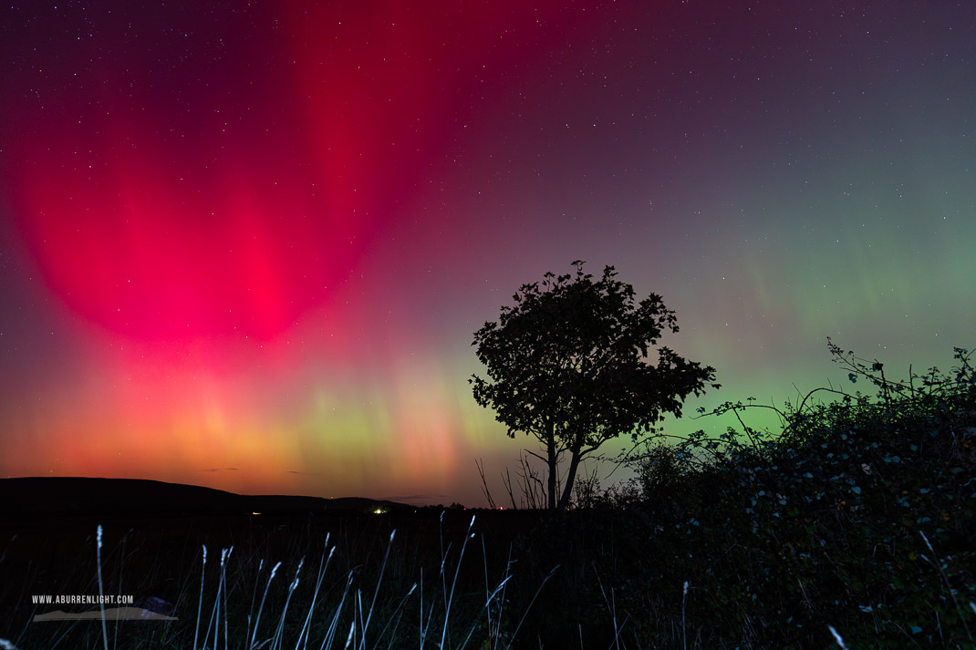 A Burren Lone Tree Clare Ireland - astro,aurora,autumn,lone tree,lowland,night,october,pilars