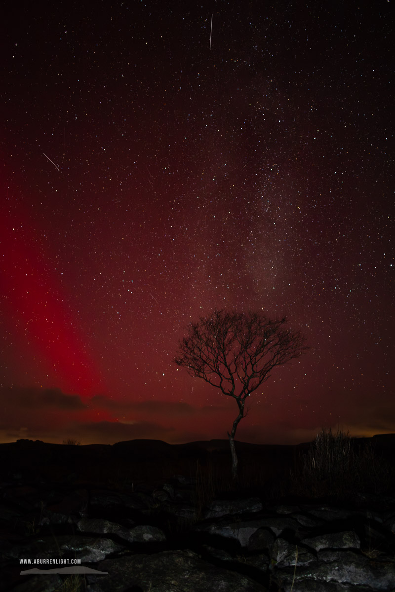 A Burren Lone Tree Clare Ireland - SAR,arc,astro,aurora,january,lone tree,long exposure,lowland,milky way,night,winter