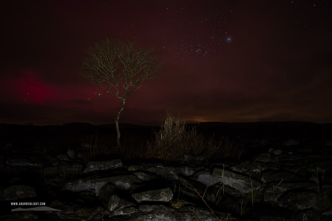 A Burren Lone Tree Clare Ireland - SAR,arc,astro,aurora,january,lone tree,long exposure,lowland,night,winter