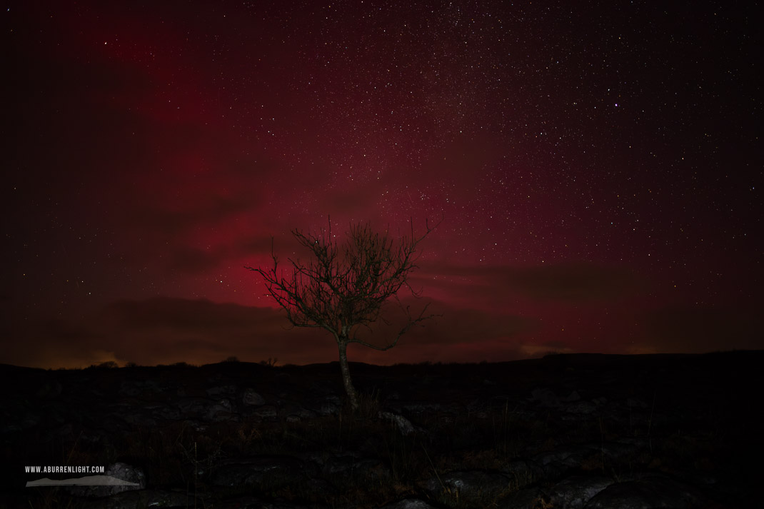 A Burren Lone Tree Clare Ireland - SAR,arc,astro,aurora,january,lone tree,long exposure,lowland,milky way,night,winter