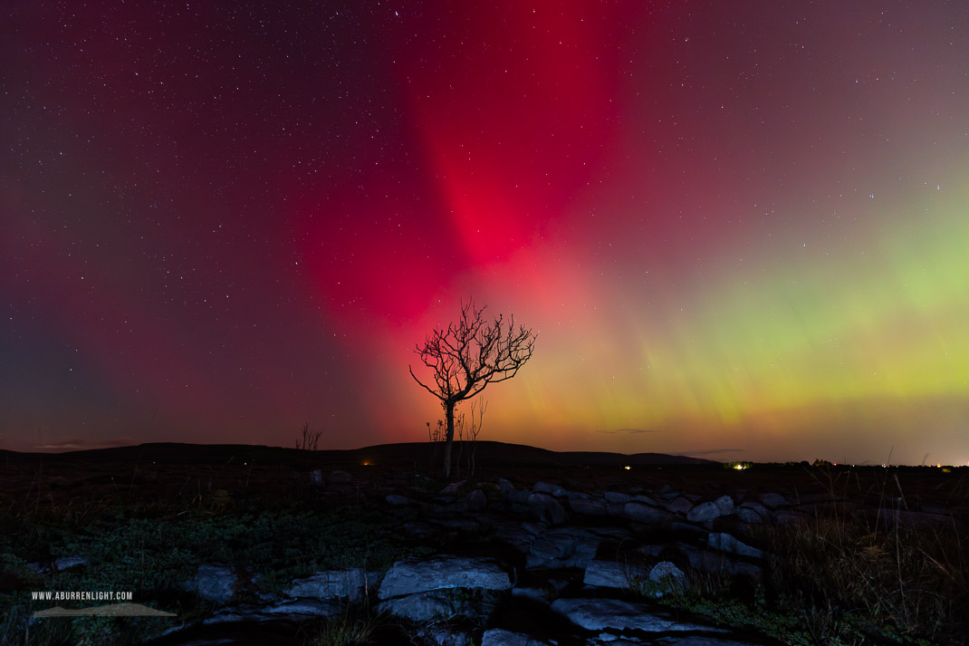 A Burren Lone Tree Clare Ireland - astro,aurora,autumn,lone tree,lowland,night,october,pilars,portfolio