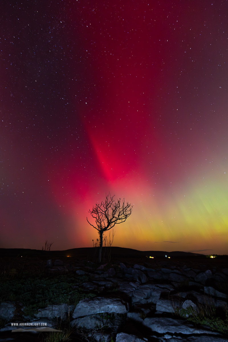 A Burren Lone Tree Clare Ireland - astro,aurora,autumn,lone tree,lowland,night,october,pilars