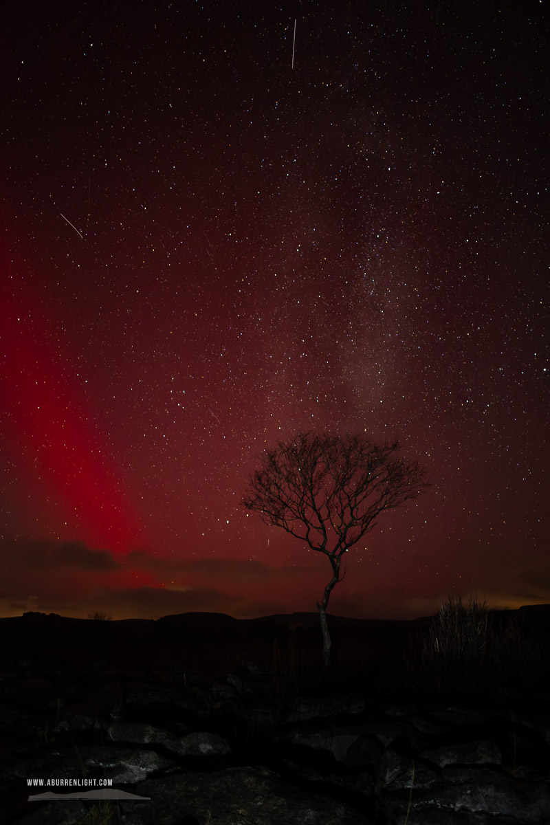 A Burren Lone Tree Clare Ireland - SAR,arc,astro,aurora,january,lone tree,long exposure,lowland,milky way,night,winter