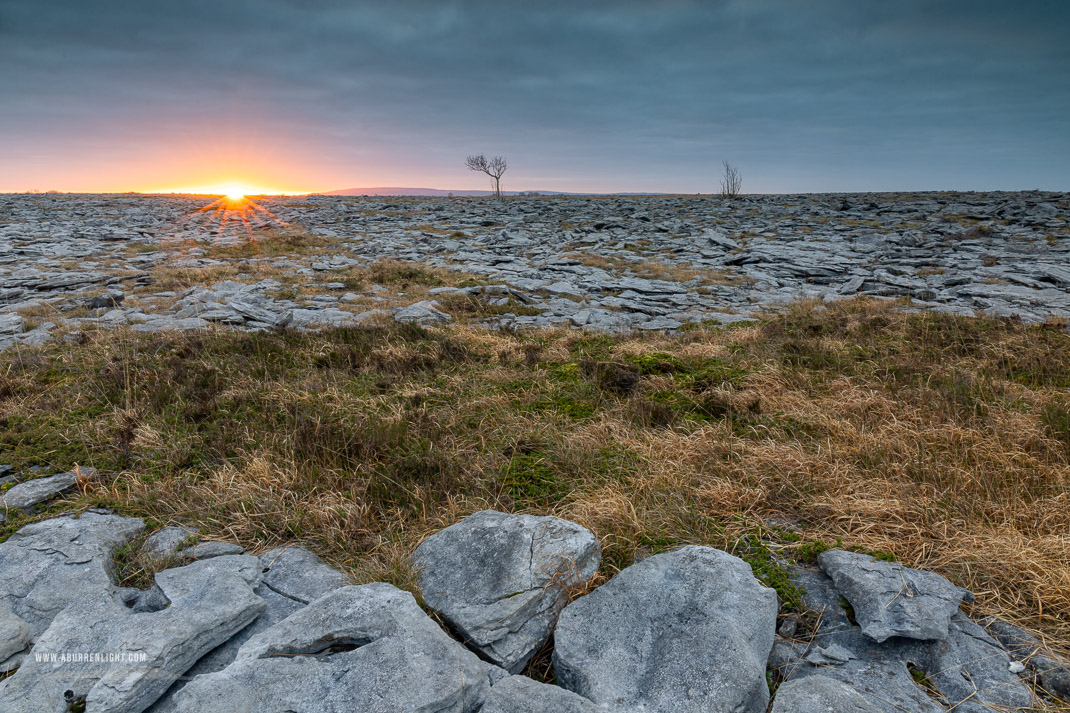 A Burren Lone Tree Clare Ireland - january,lone tree,sunrise,sunstar,winter,lowland