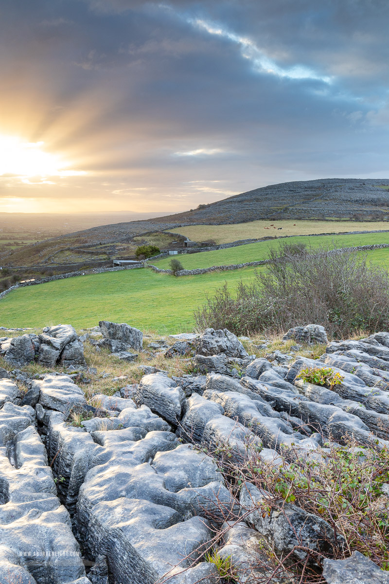 Abbey Hill Burren Clare Ireland - abbey hill,february,sunrise,winter,golden,hills