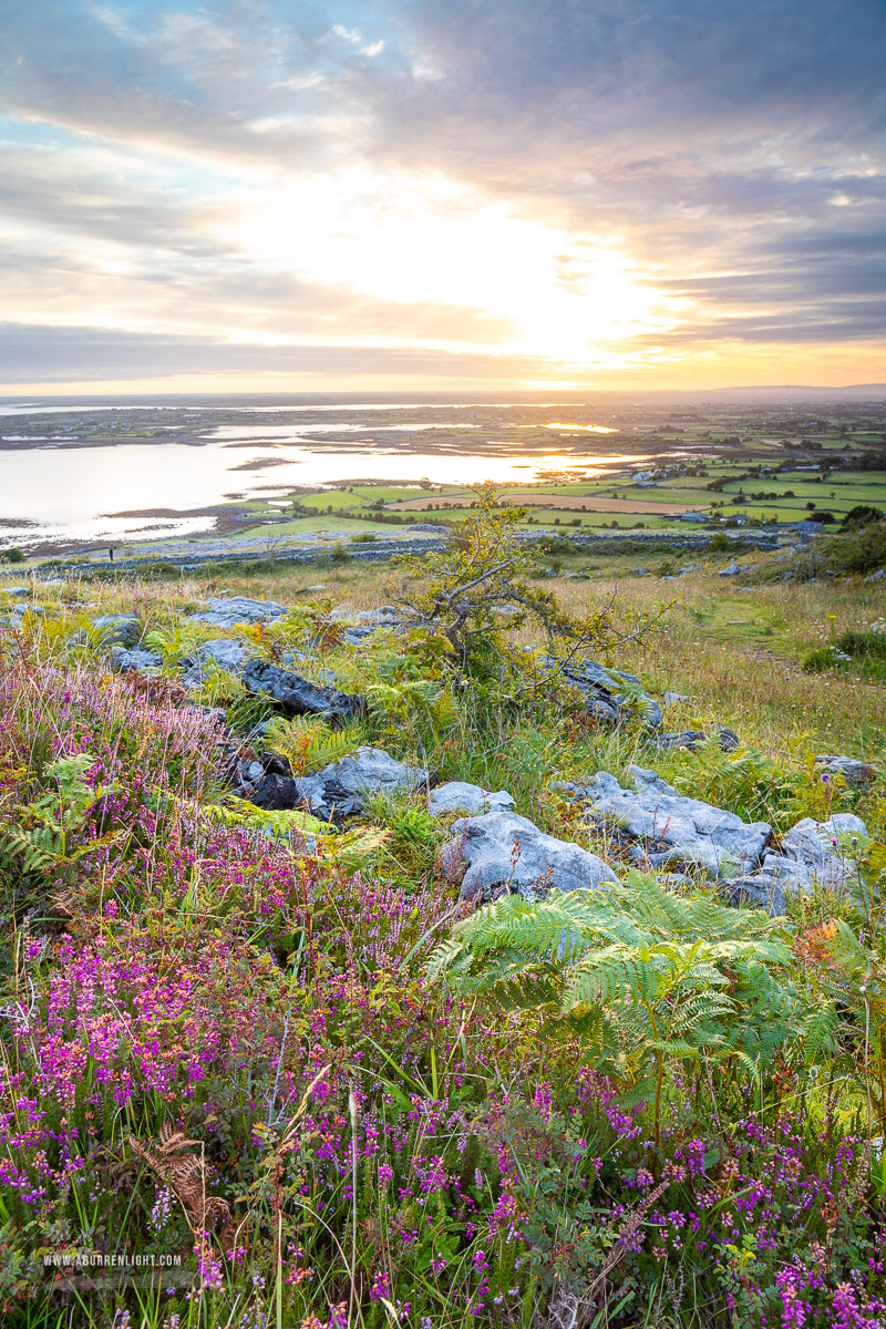 Abbey Hill Burren Clare Ireland - abbey hill,august,flowers,summer,sunrise, hills,heather