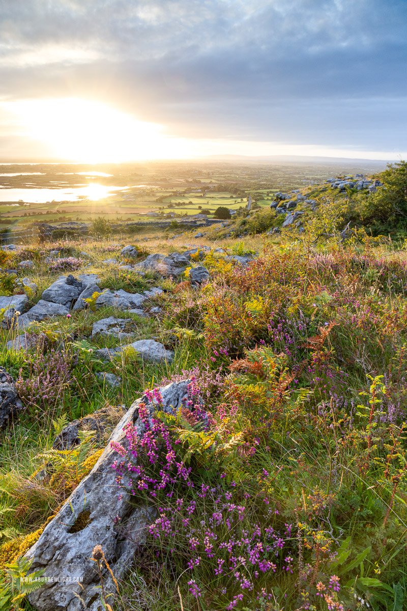 Abbey Hill Burren Clare Ireland - abbey hill,august,flowers,summer,sunrise,portfolio,hills,heather