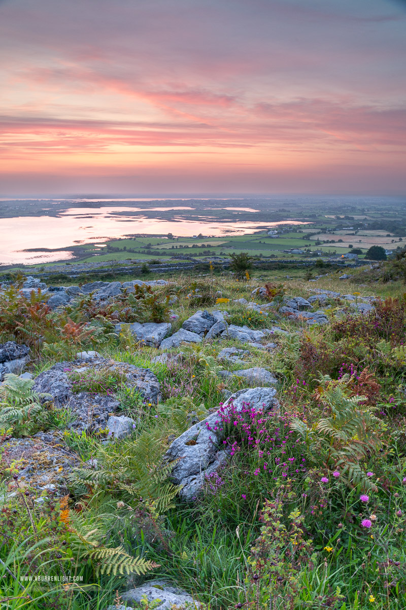 Abbey Hill Burren Clare Ireland - abbey hill,august,flower,heather,summer,twilight,hills,orange