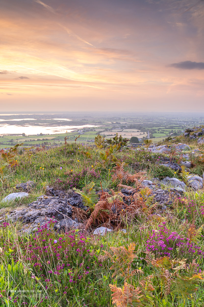 Abbey Hill Burren Clare Ireland - abbey hill,august,flower,heather,summer,twilight,hills,golden