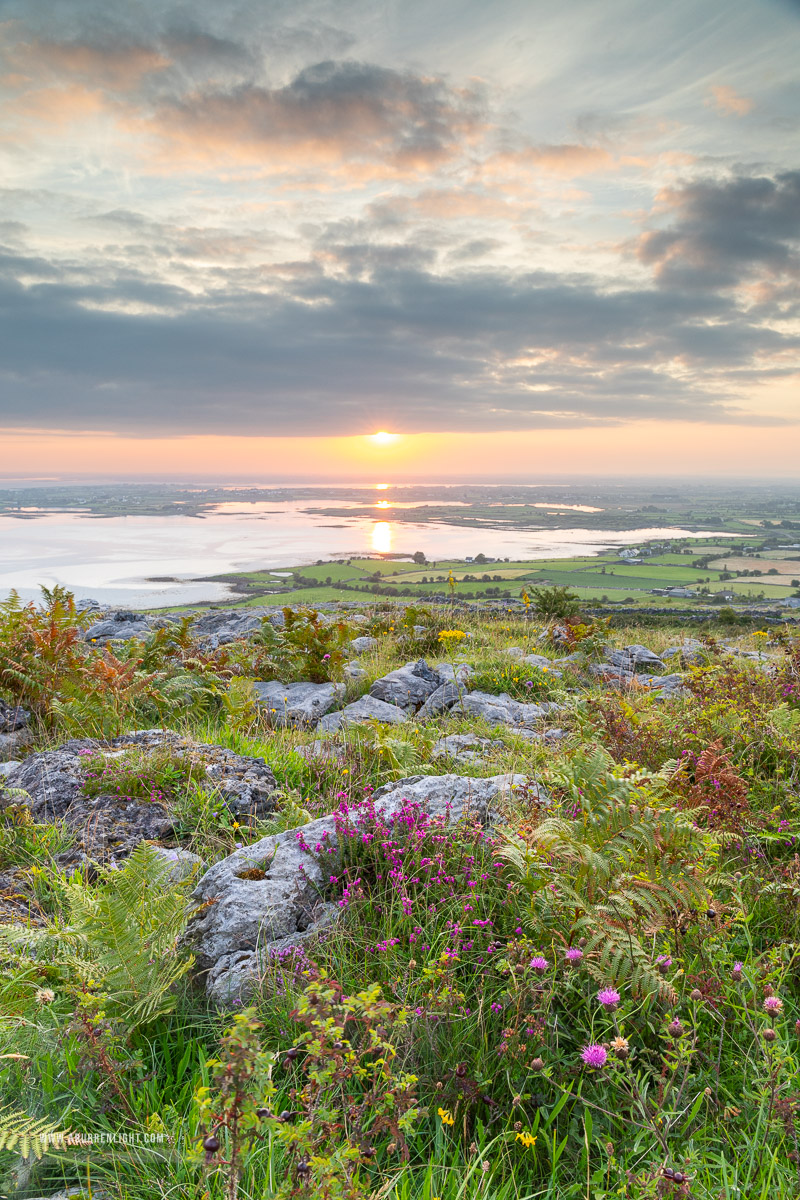 Abbey Hill Burren Clare Ireland - abbey hill,august,flower,heather,summer,twilight,hills,golden