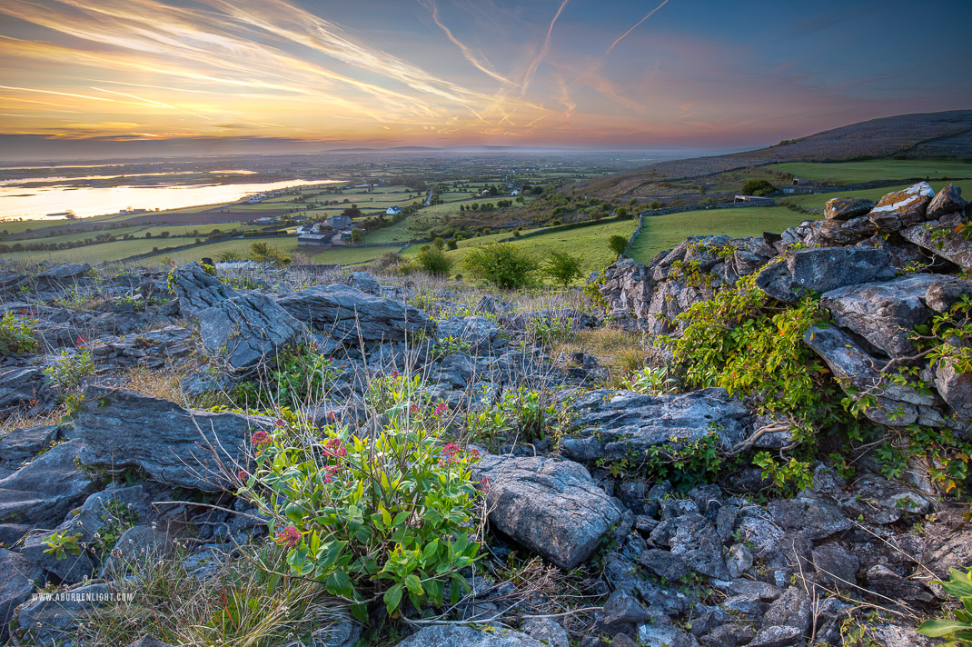 Abbey Hill Burren Clare Ireland - abbey hill,april,flowers,mist,valerian,spring,sunrise,twilight