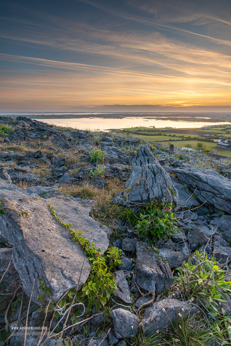 Abbey Hill Burren Clare Ireland - abbey hill,april,flowers,mist,spring,sunrise,twilight