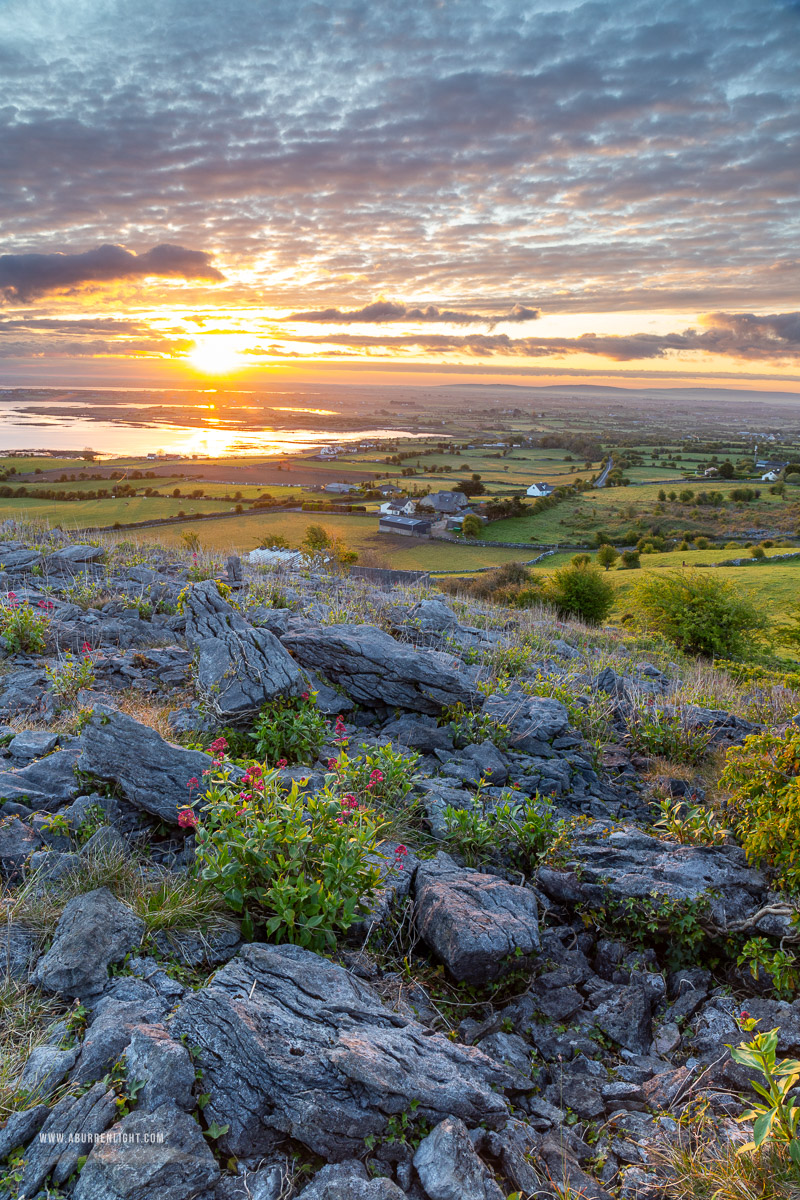 Abbey Hill Burren Clare Ireland - abbey hill,april,golden,hills,spring,sunrise,valerian