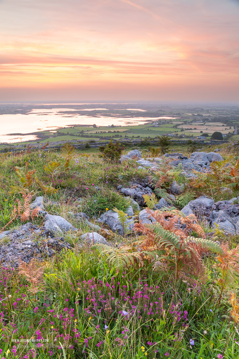Abbey Hill Burren Clare Ireland - abbey hill,august,flower,heather,summer,twilight,hills,golden