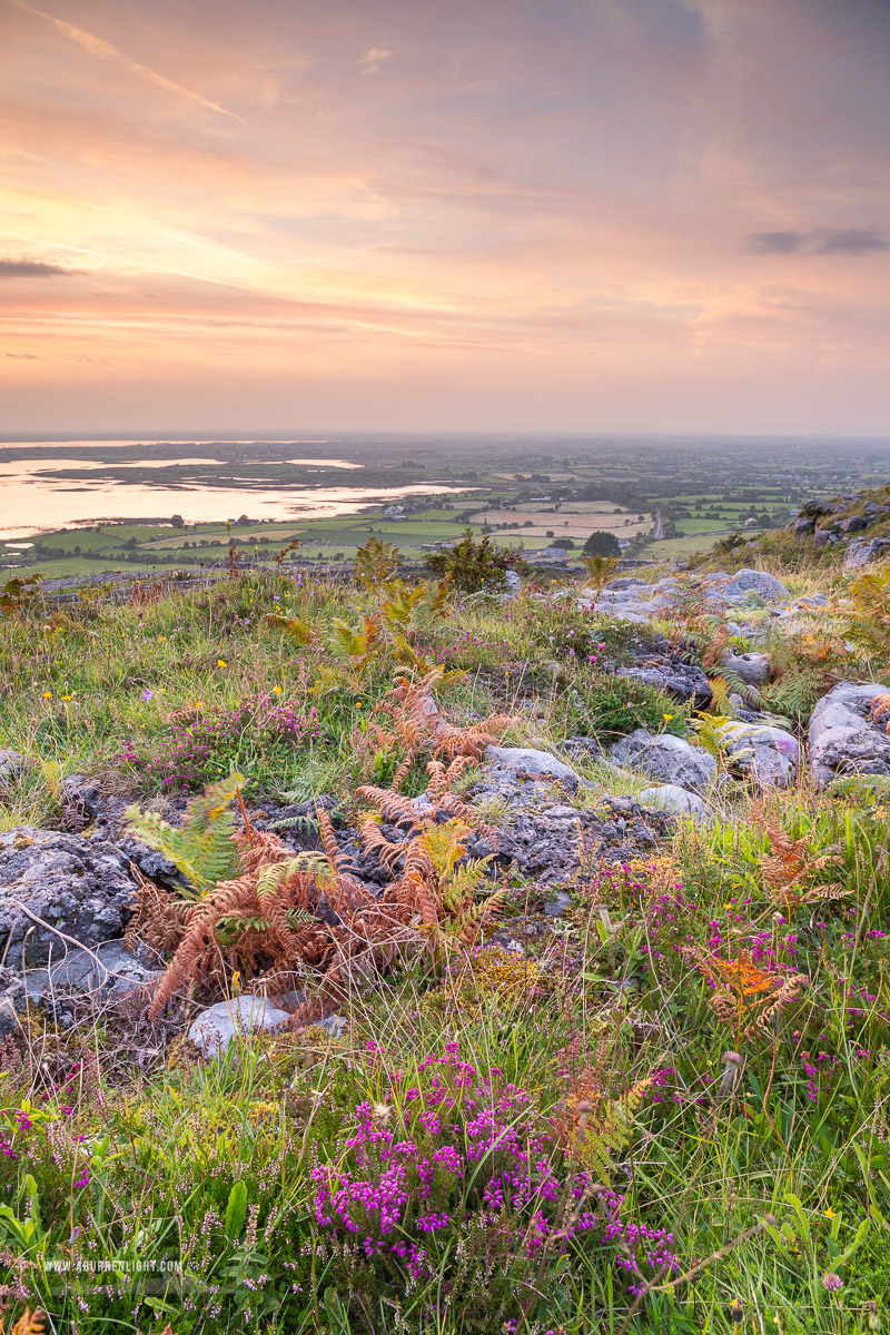Abbey Hill Burren Clare Ireland - abbey hill,august,flower,heather,summer,twilight,hills, golden