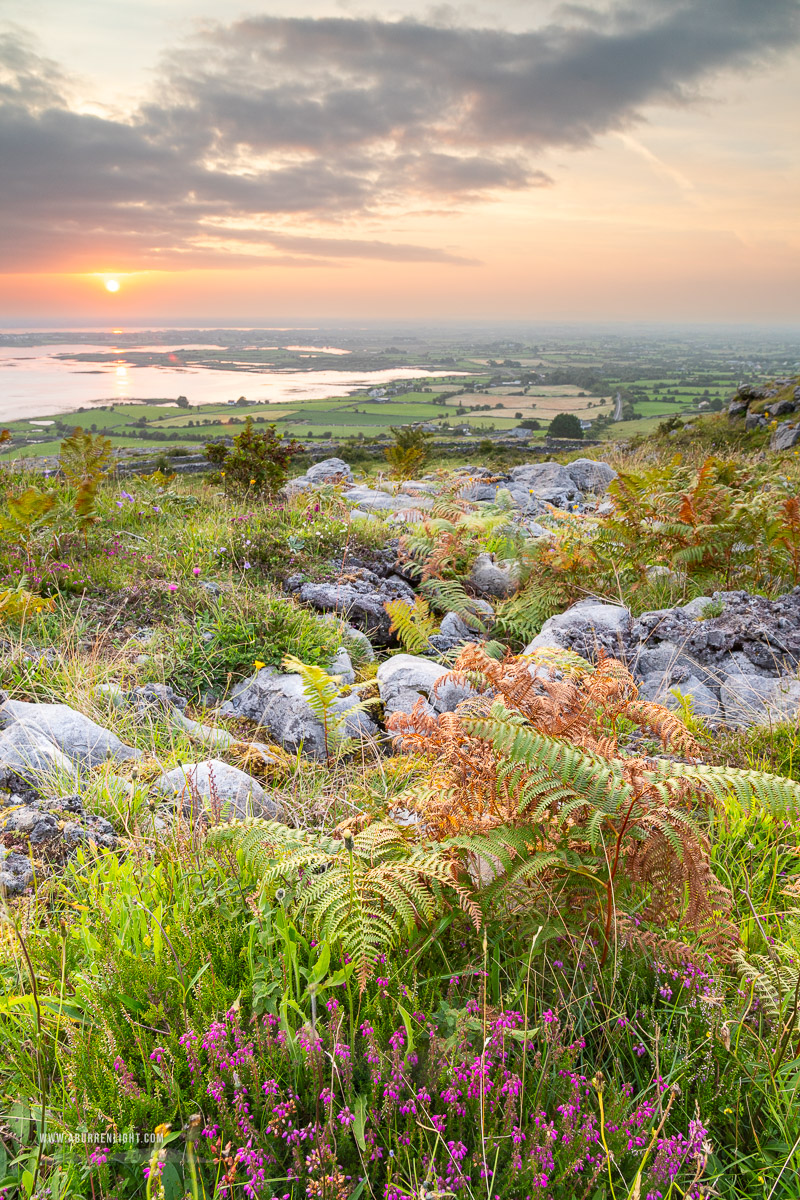 Abbey Hill Burren Clare Ireland - abbey hill,august,flower,heather,summer,twilight,golden,hills
