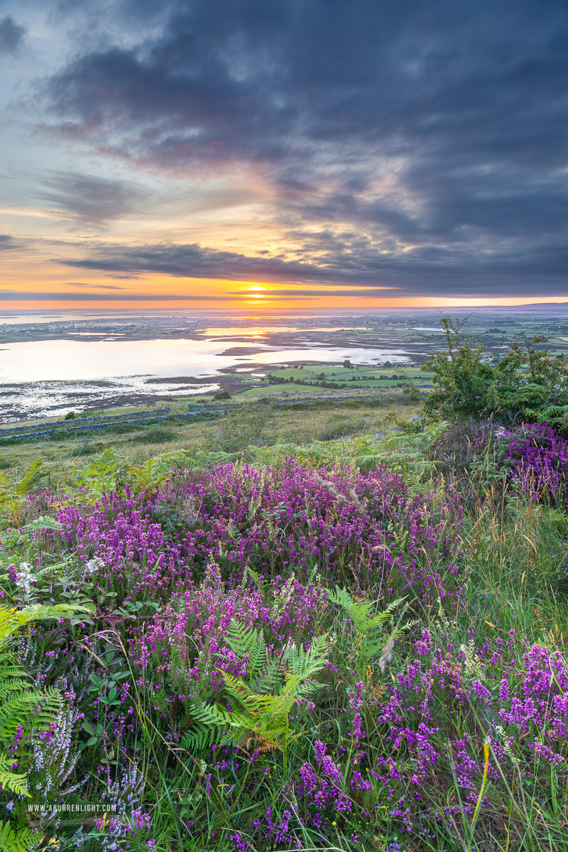 Abbey Hill Burren Clare Ireland - abbey hill,ferns,flower,heather,july,summer,sunrise,hills,portfolio