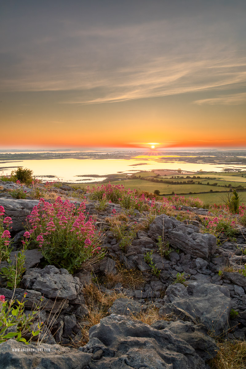 Abbey Hill Burren Clare Ireland - abbey hill,hills,may,spring,sunrise,valerian,flowers