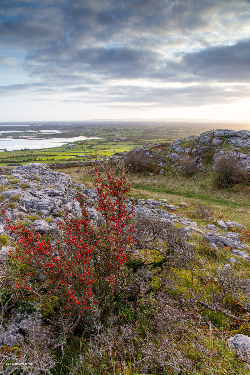 Abbey Hill Burren Clare Ireland - abbey hill,autumn,november,sunrise,hills