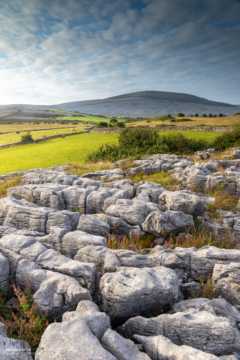 Abbey Hill Burren Clare Ireland - abbey hill,limited,september,summer,sunrise,portfolio,hills