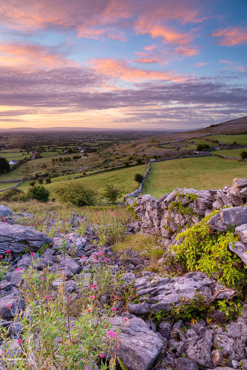 Abbey Hill Burren Clare Ireland - abbey hill,august,flower,summer,twilight,hills,valerian,wall,pink