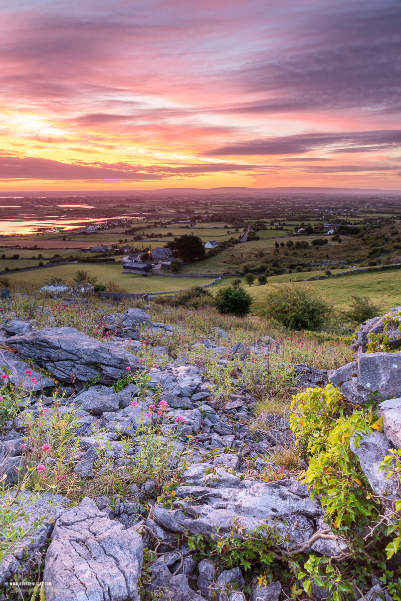 Abbey Hill Burren Clare Ireland - abbey hill,august,flower,summer,twilight,hills,dreamy,orange,magenta,mauve