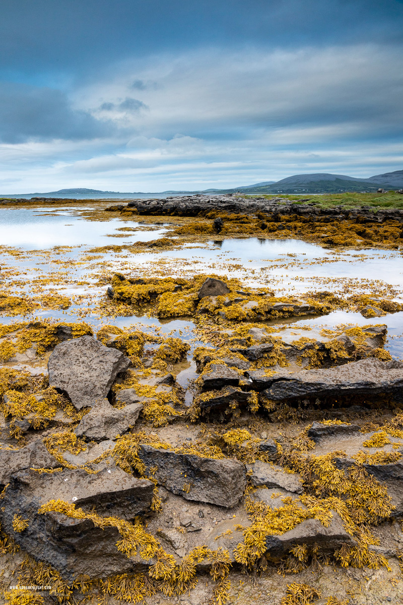 Ballyvaughan Wild Atlantic Way Clare Ireland - ballyvaughan,june,spring,coast