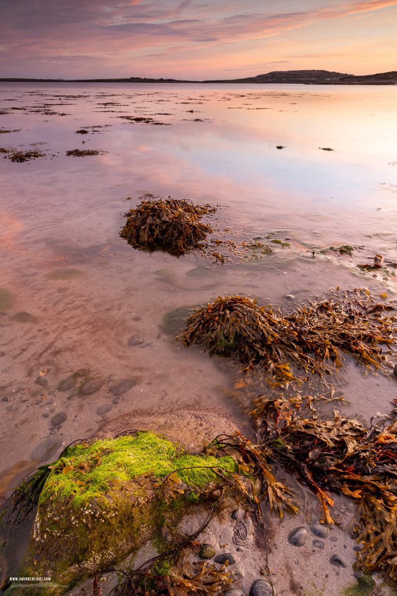 Bishops Quarter Ballyvaughan Wild Atlantic Way Clare Ireland - autumn,ballyvaughan,bishops quarter,green algae,long exposure,september,twilight