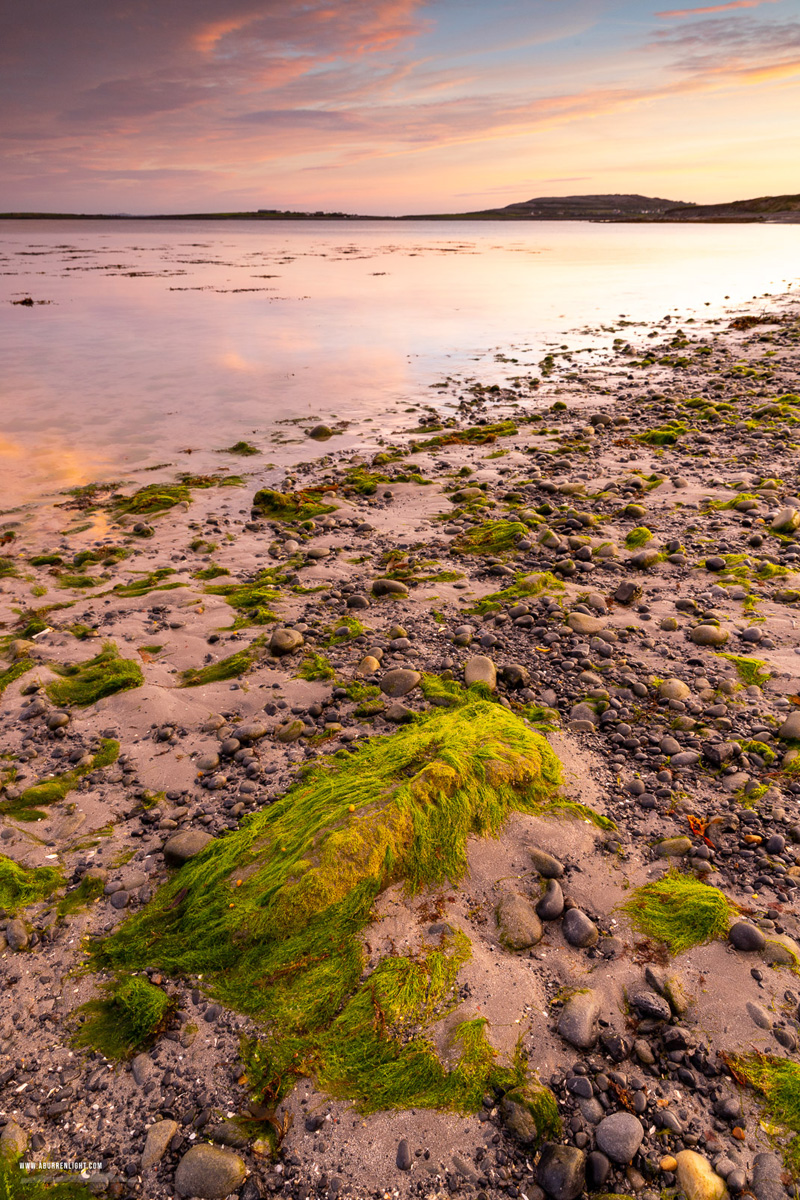 Bishops Quarter Ballyvaughan Wild Atlantic Way Clare Ireland - autumn,ballyvaughan,bishops quarter,green algae,september,twilight,beach,coast,salmon,portfolio