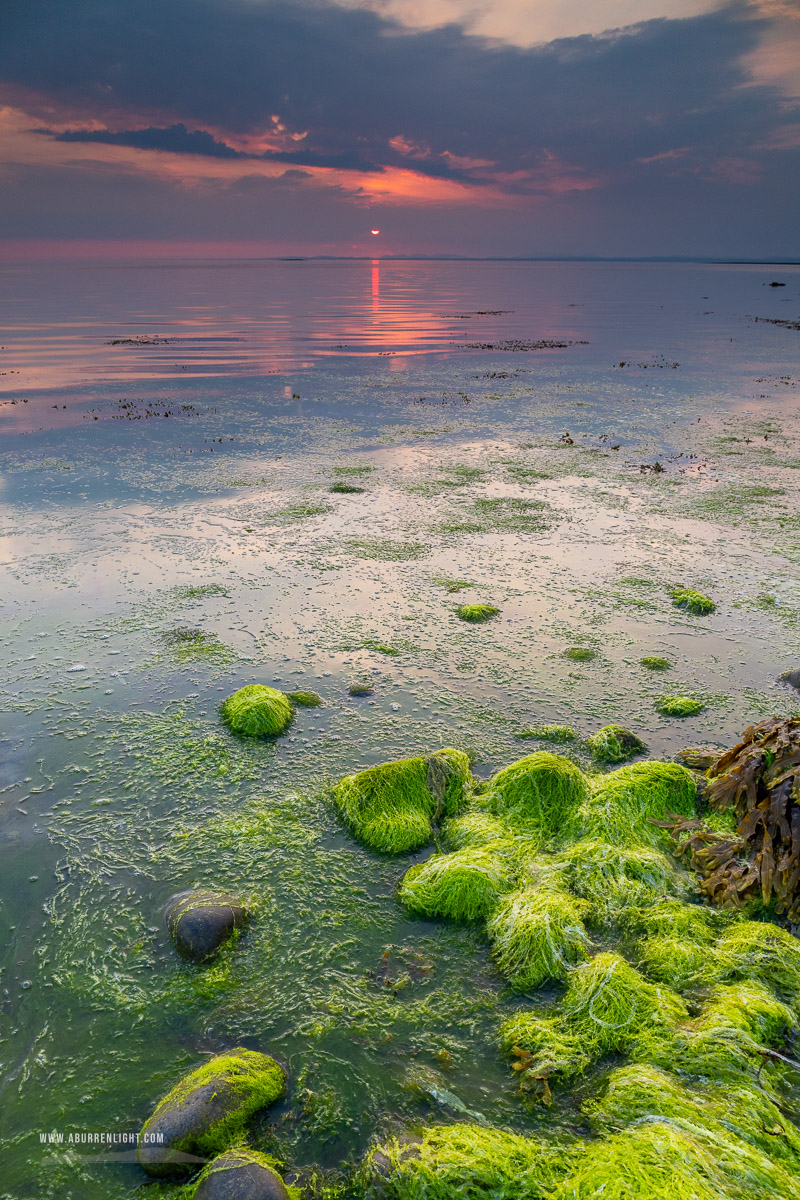 Bishops Quarter Ballyvaughan Wild Atlantic Way Clare Ireland - algae,bishops quarter,june,spring,sunset,coast,green