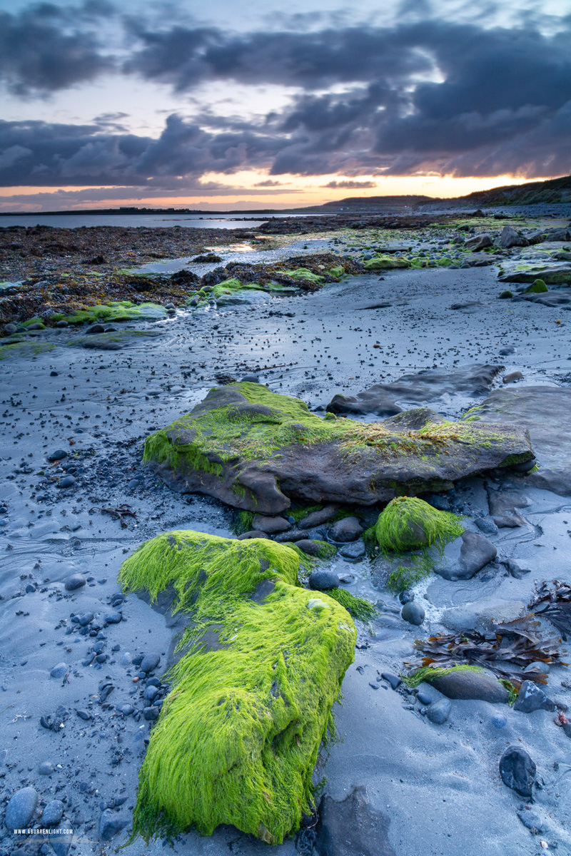 Bishops Quarter Ballyvaughan Wild Atlantic Way Clare Ireland - bishops quarter,blue hour,green algae,long exposure,may,spring,twilight,beach,coast