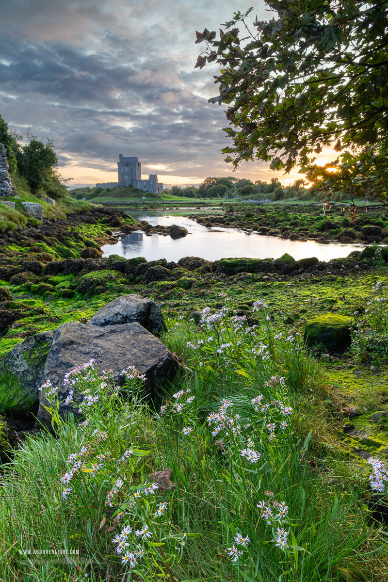 Dunguaire Castle Kinvara Clare Ireland - august,castle,dunguaire,flowers,kinvara,landmark,summer,sunrise,portfolio,coast