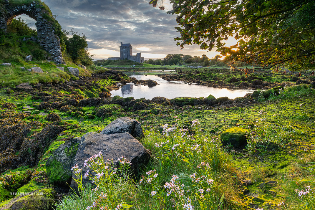 Dunguaire Castle Kinvara Clare Ireland - august,castle,dunguaire,flowers,kinvara,landmark,summer,sunrise,portfolio,coast