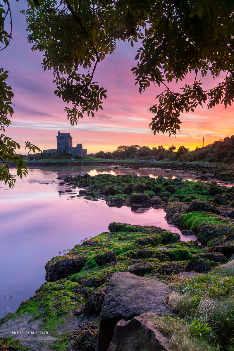 Dunguaire Castle Kinvara Clare Ireland - autumn,birch,castle,dunguaire,kinvara,long exposure,purple,september,twilight,portfolio,coast