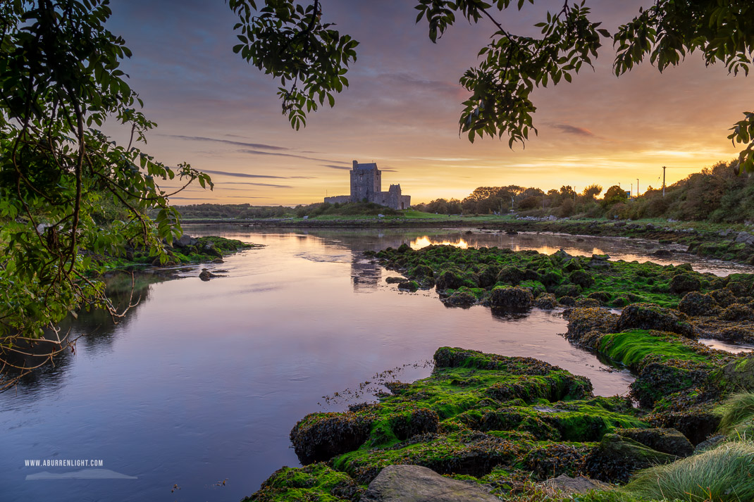 Dunguaire Castle Kinvara Clare Ireland - autumn,birch,castle,dunguaire,kinvara,september,sunrise,coast