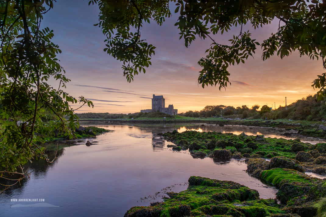 Dunguaire Castle Kinvara Clare Ireland - autumn,birch,castle,dunguaire,kinvara,september,sunrise,coast