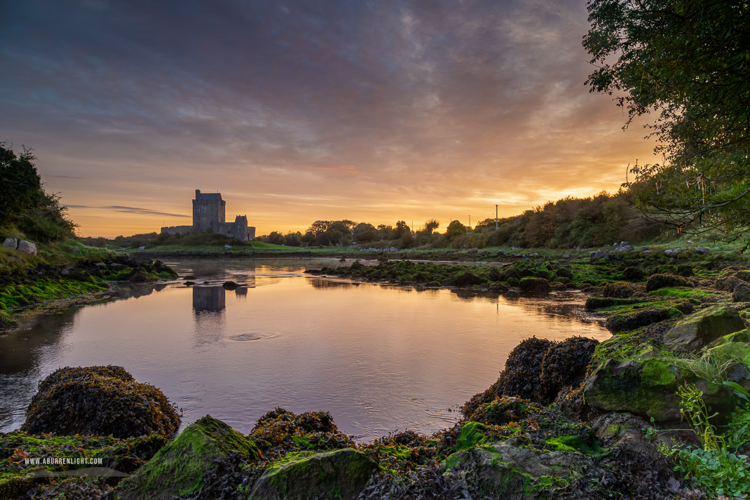 Dunguaire Castle Kinvara Clare Ireland - autumn,birch,castle,dunguaire,kinvara,september,sunrise,coast