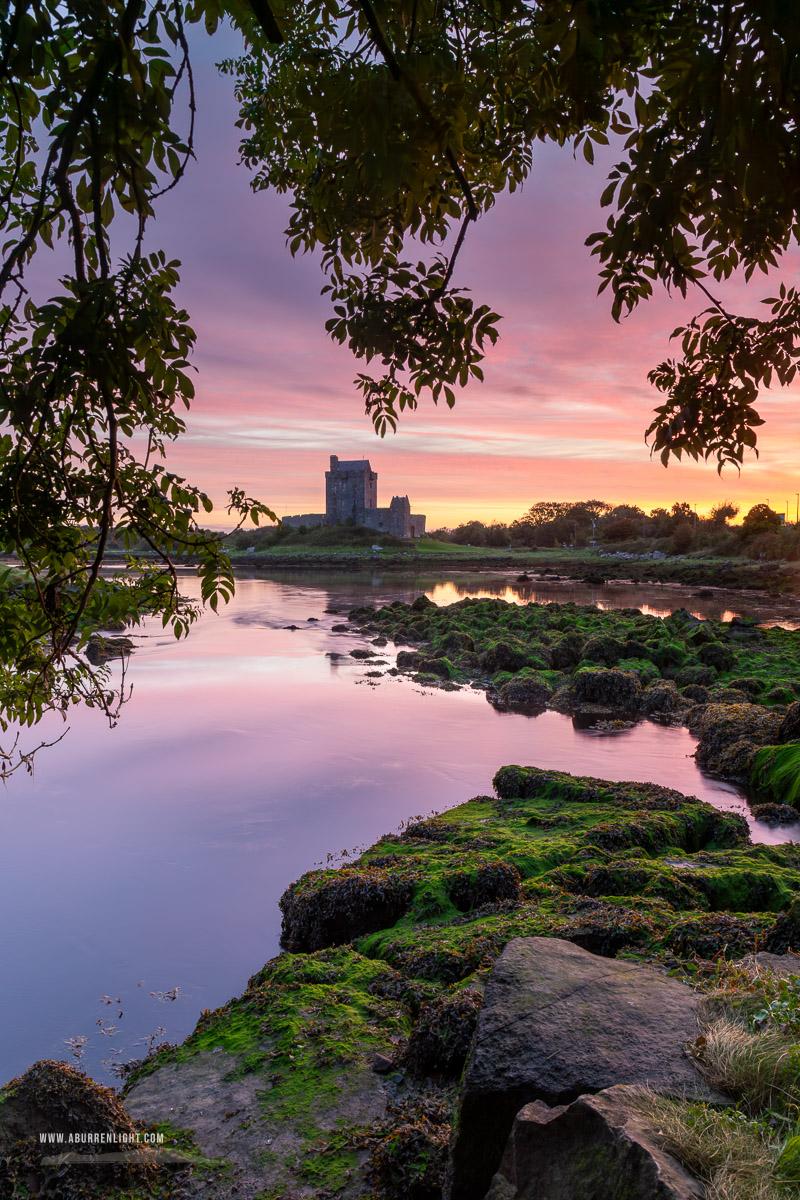 Dunguaire Castle Kinvara Clare Ireland - autumn,birch,castle,dunguaire,kinvara,long exposure,purple,september,twilight,coast